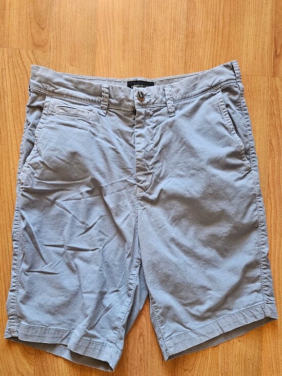 American Eagle Outfitters Other - Mens American Eagle Next Level Flex gray chino shorts - Slim fit size 32
